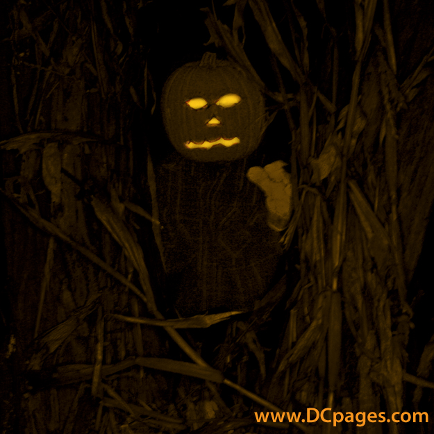 What's that in the distance? THe Pumpkin man jumps out of nowhere.