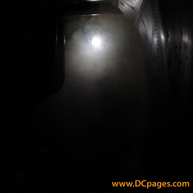 The Haunted Forest is full of creepy sounds, lights, and mysterious movements.