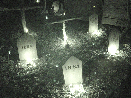 The remains of those who didn't make it out of Markoff's Haunted Forest.   
