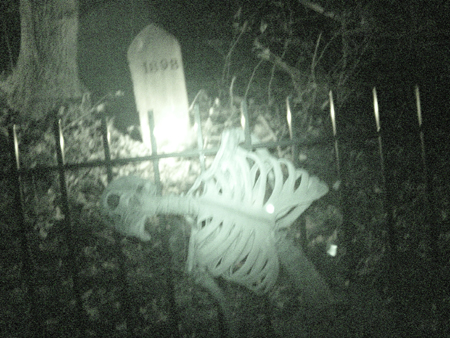  Vengeful spirits try to bite passers by.  