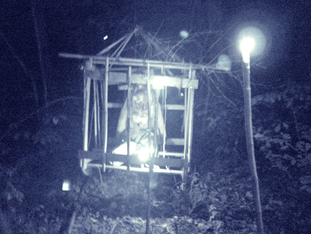 Markoff's Haunted Forest Staff managed to both capture and cage this zombie.  