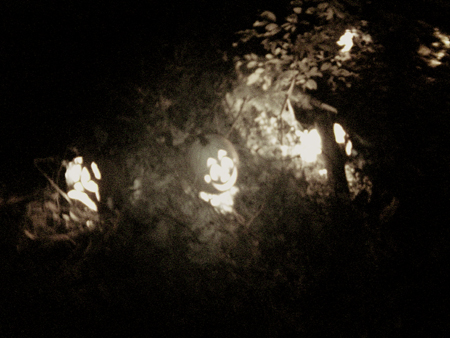 Pumpkins light the path.  