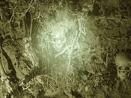 The earth trembled, splitting like a wound, and the dead crawled forth.