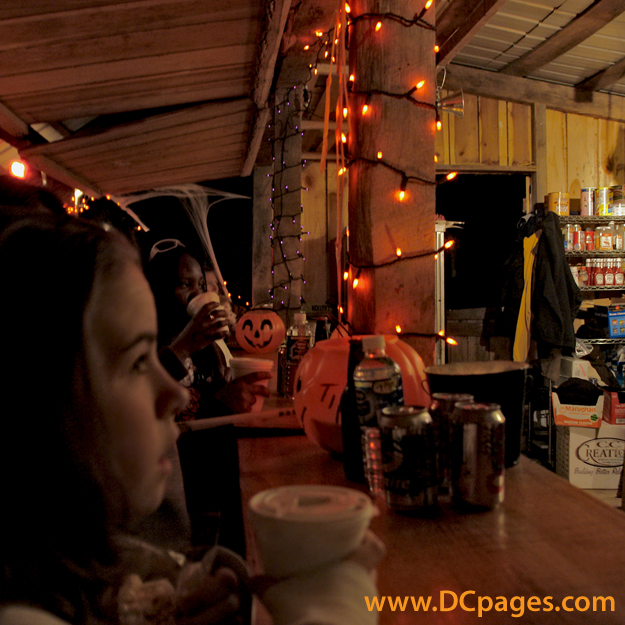 Markoff's Haunted Forest offers food and refreshments but only accepts cash. Warning: There is no ATM