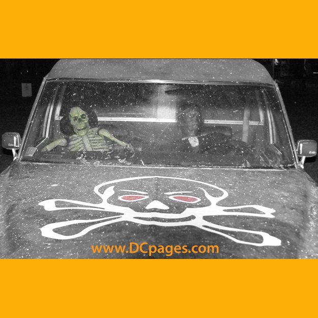 We offer more activities ranging from face painting and fortune telling to hayrides and a zipline (bat flight).
