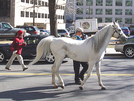 DSC08009