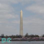 The light and shadows of the Washington Monument are captivating.