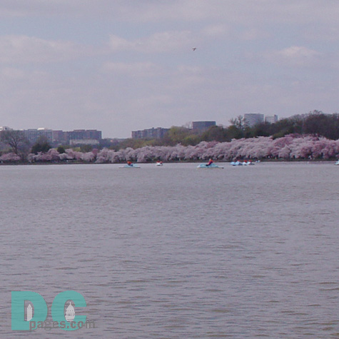 The tidal basin covers an area of about 107 acres and is 10 feet deep.