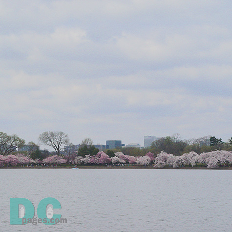 DSC02686