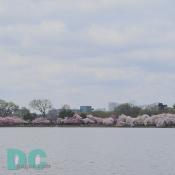DSC02686