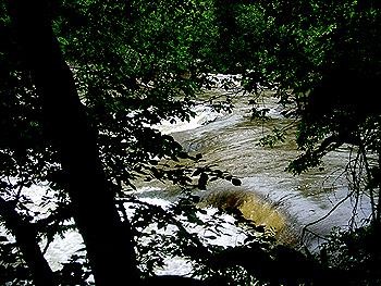 The Great Falls of the Potomac River are one of the most well-known natural wonders of the Washington area.