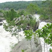 The falls are actually composed of several parts as the Potomac divides into several channels at this spot.