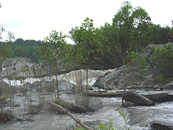 One of the Festival's most dramatic and dazzling events, this downriver race is a quick, adrenaline-packed descent of 60 vertical feet through class 5+ Great Falls. 