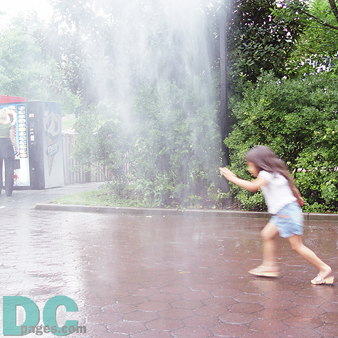 "Ready? 1, 2, 3 GO!" A cute little girl started running toward a visible mist wall. 
