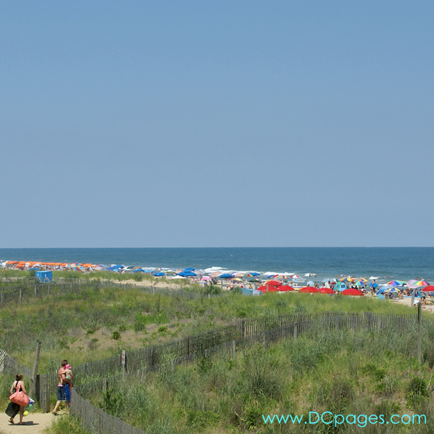 Ocean City - View of the beach from the Carousel Deck Bar and Restaurant. Very friendly staff. 