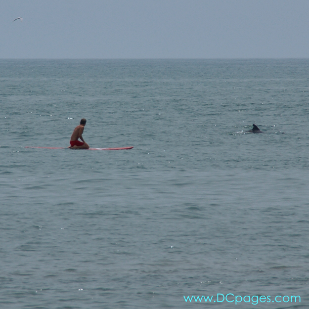 Ocean City - Just north of the Ocean City Inlet has become a popular spot for surfers of all ages.