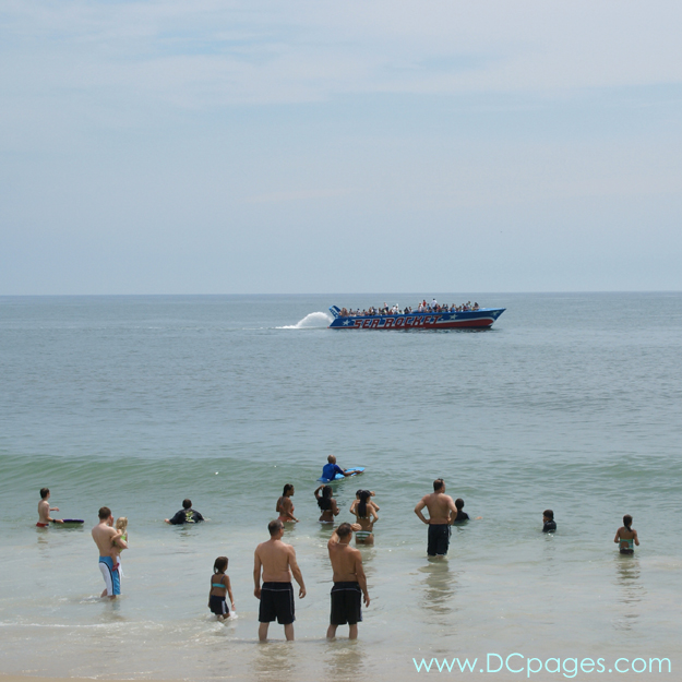 Ocean City - This group stops for a moment to look at the Sea Rocket cruising by.