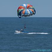 Ocean City - THe Sea Rocket is located in downtown Ocean City on the Bay at Wicomico Street (With Bahama Mamas).