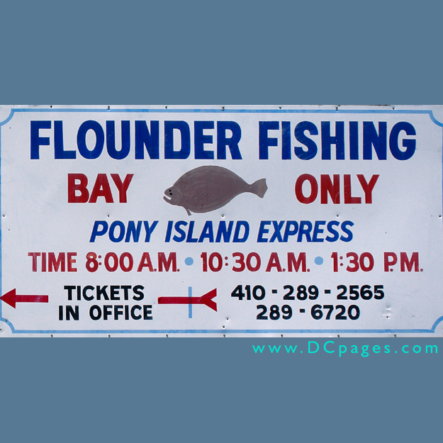 Ocean City - Ocean City is well known for its flounder fishing.