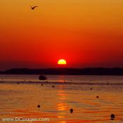 Ocean City - The atmosphere responds in a number of ways to exposure to the Sun during daylight hours. In particular, there tends to be more dust in the lower atmosphere at the end of the day than at the beginning.