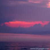 Ocean City - These vibrant colors are on display throughout the summer in Ocean City.