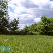 Look at green grass, look at the trees, look at the clouds... and if you have eyes you will be able to see that life in North Fork is simply happy. Tel.540.636.2995