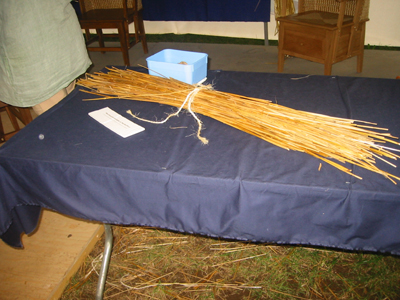 The straw used to for Orkney Chairmaking