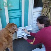 Today Wiley is going to learn to vote