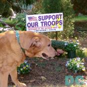 Wiley Supports Ourt Troops
