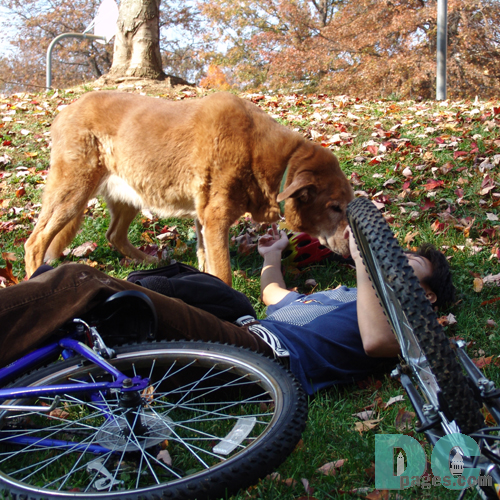 Wiley looks for injuries.