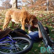 Wiley looks for injuries.
