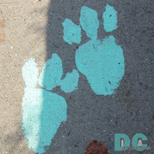 DSC03357