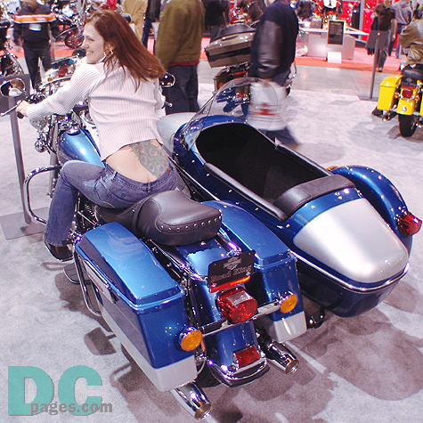 DC's Paul Roe Tattoos customized the back of this rider with an incredibly intricate peacock that streaches the length of her torso. 
