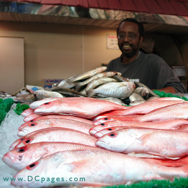 The fresh catch changes daily.