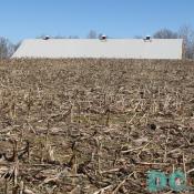 Much of Calleva's fields are in agricultural use, spacing out the variety of horseback riding facilities. Here the indoor riding arena, stables, classrooms, and more, are tucked behind the rise of the hill of corn stalks.