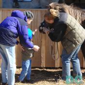 Calleva offers horseback riding programs for everyone. Starting with our Tiny Tots program for 5 year olds - you will find a program that is right for you!