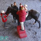Overlooking the riding lesson from an enclosed waiting room is perfect for the parents.