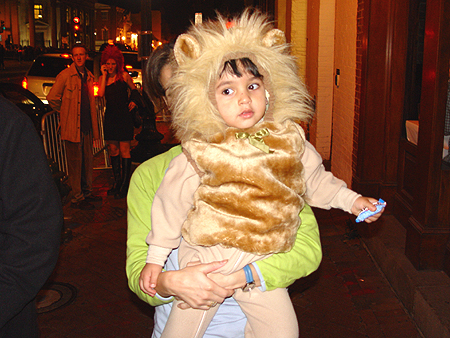 Lion cub, roar!