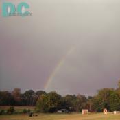 Many magical things happen on our grounds. You can follow rainbows...