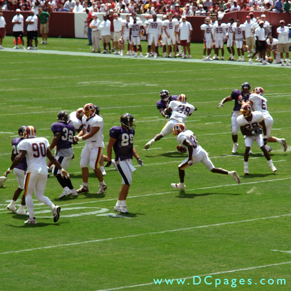 A Raven just stares as Redskins running back finds hole in Baltimore's defense that a truck could drive through. 