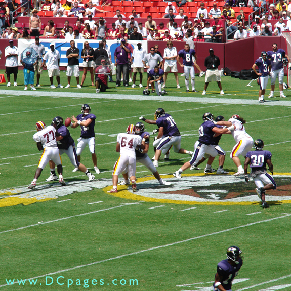 Raven's quarterback finds an open man.