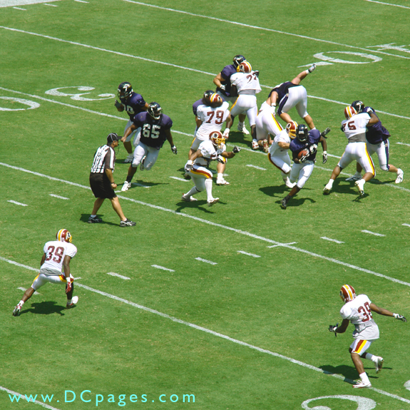 Raven's running back finds a hole in the seam.