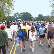 18,000 runners participated in the 2003 marathon. 