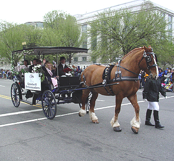 2003 Cherry Blossom Festival: Goodwill Ambassadors and a Cherry Blossom Princess.  