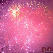 Red Dazzle