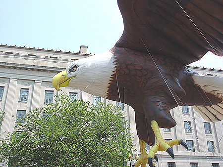 The eagle looks like its smiling