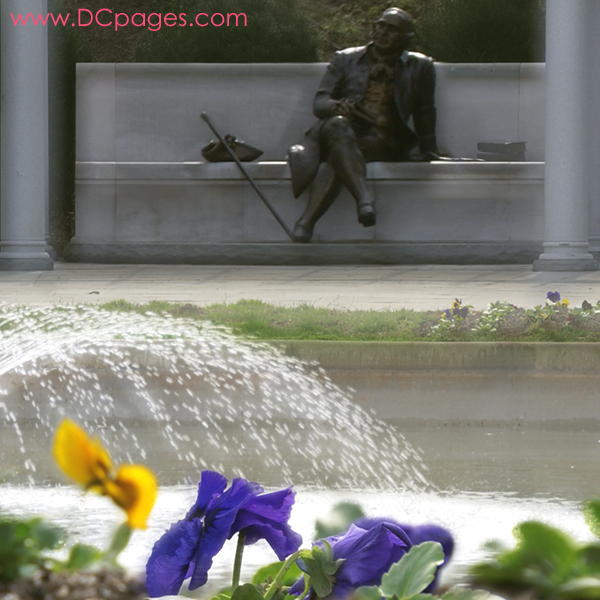 Violets blooming in the George Mason Memorial Garden. George Mason is called the "Father of the Bill of Rights". 