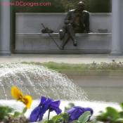 Violets blooming in the George Mason Memorial Garden. George Mason is called the "Father of the Bill of Rights". 