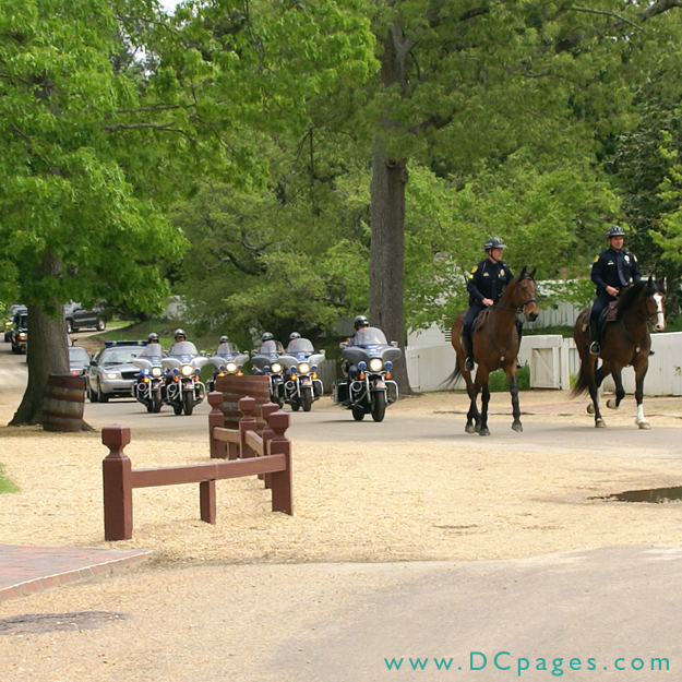 Governor's Palace, Williamsburg, Virginia