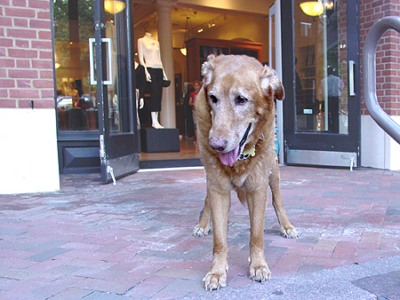 Ladies and gentlemen, here is the star of the show himself, WILEY!!!